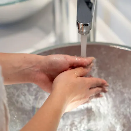 Premium サルティ