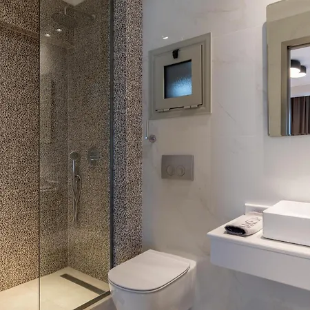 Premium サルティ