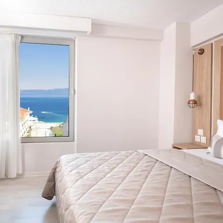 Premium サルティ